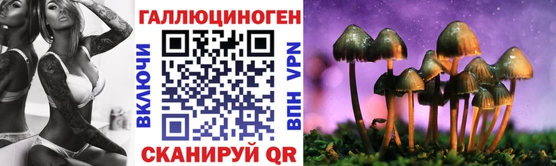 Купить  Суоярви  Псилоцибиновые грибы Psilocybe 